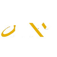 o1ex logo